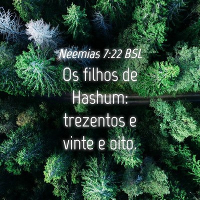 Picture 04 - Neemias 7:22 BSL - Os filhos de Hashum: trezentos e vinte e - Bible Verse Picture