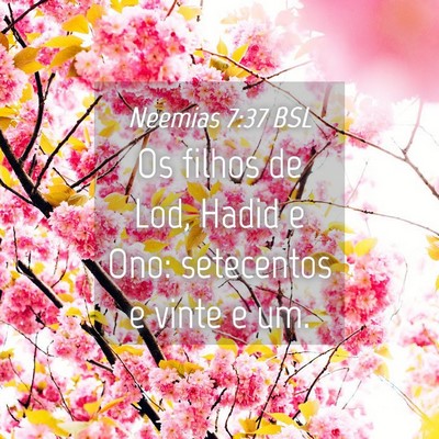 Picture 04 - Neemias 7:37 BSL - Os filhos de Lod, Hadid e Ono: setecentos e vinte - Bible Verse Picture