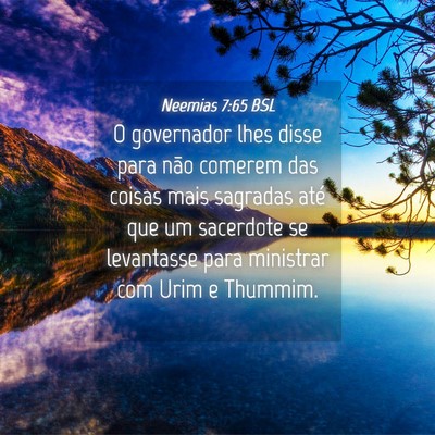 Picture 04 - Neemias 7:65 BSL - O governador lhes disse para não comerem das - Bible Verse Picture