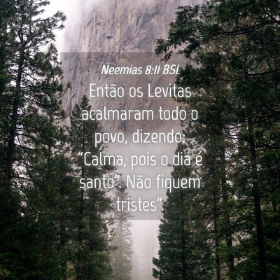 Picture 04 - Neemias 8:11 BSL - Então os Levitas acalmaram todo o povo, dizendo: - Bible Verse Picture