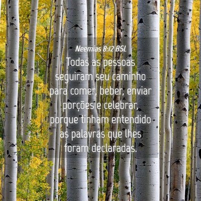 Picture 04 - Neemias 8:12 BSL - Todas as pessoas seguiram seu caminho para comer, - Bible Verse Picture