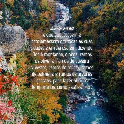 Picture 04 - Neemias 8:15 BSL - e que publicassem e proclamassem em todas as suas - Bible Verse Picture