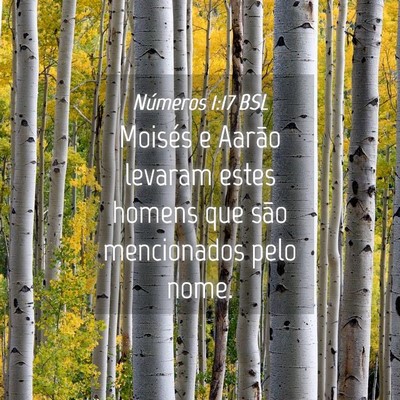 Picture 04 - Números 1:17 BSL - Moisés e Aarão levaram estes homens que são - Bible Verse Picture