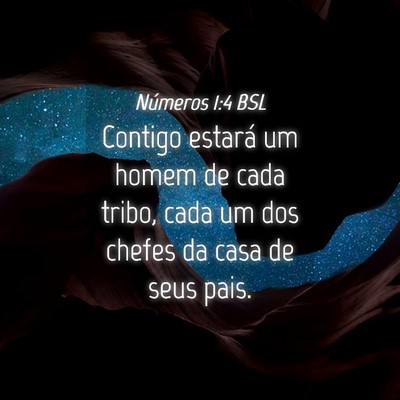 Picture 04 - Números 1:4 BSL - Contigo estará um homem de cada tribo, cada um - Bible Verse Picture