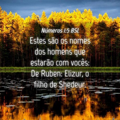 Picture 04 - Números 1:5 BSL - Estes são os nomes dos homens que estarão com - Bible Verse Picture