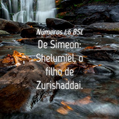 Picture 04 - Números 1:6 BSL - De Simeon: Shelumiel, o filho de - Bible Verse Picture