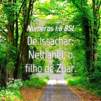 Picture 04 - Números 1:8 BSL - De Issachar: Nethanel, o filho de - Bible Verse Picture
