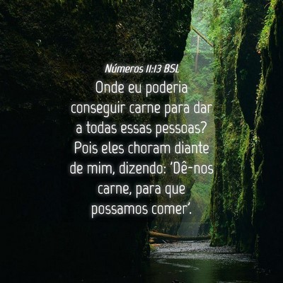 Picture 04 - Números 11:13 BSL - Onde eu poderia conseguir carne para dar a todas - Bible Verse Picture