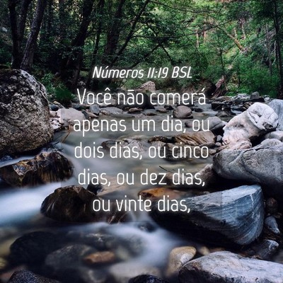 Picture 04 - Números 11:19 BSL - Você não comerá apenas um dia, ou dois dias, - Bible Verse Picture