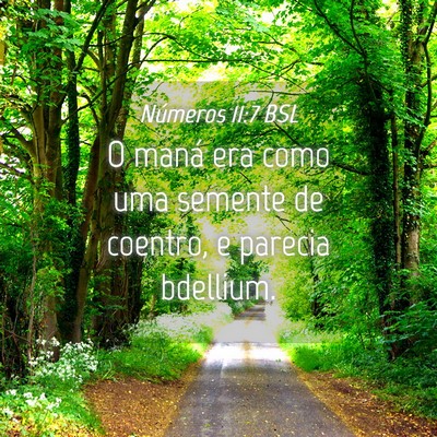 Picture 04 - Números 11:7 BSL - O maná era como uma semente de coentro, e - Bible Verse Picture