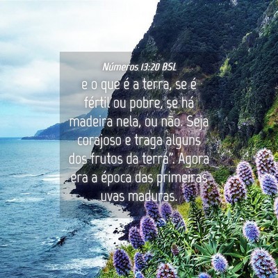 Picture 04 - Números 13:20 BSL - e o que é a terra, se é fértil ou pobre, se - Bible Verse Picture