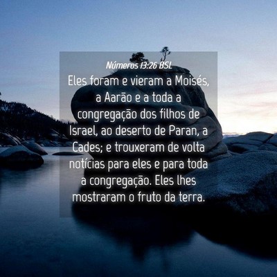 Picture 04 - Números 13:26 BSL - Eles foram e vieram a Moisés, a Aarão e a toda - Bible Verse Picture