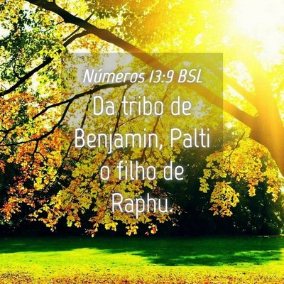 Picture 04 - Números 13:9 BSL - Da tribo de Benjamin, Palti o filho de - Bible Verse Picture