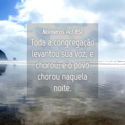 Picture 04 - Números 14:1 BSL - Toda a congregação levantou sua voz, e chorou; - Bible Verse Picture