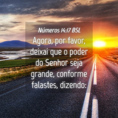 Picture 04 - Números 14:17 BSL - Agora, por favor, deixai que o poder do Senhor - Bible Verse Picture