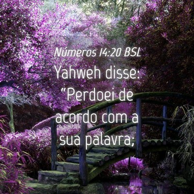 Picture 04 - Números 14:20 BSL - Yahweh disse: “Perdoei de acordo com a sua - Bible Verse Picture