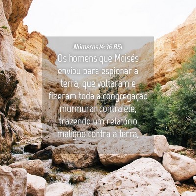 Picture 04 - Números 14:36 BSL - Os homens que Moisés enviou para espionar a - Bible Verse Picture