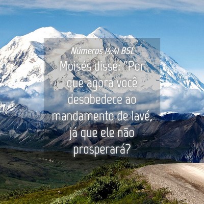 Picture 04 - Números 14:41 BSL - Moisés disse: “Por que agora você desobedece - Bible Verse Picture