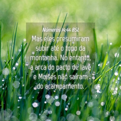 Picture 04 - Números 14:44 BSL - Mas eles presumiram subir até o topo da - Bible Verse Picture