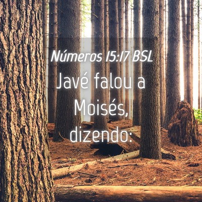 Picture 04 - Números 15:17 BSL - Javé falou a Moisés, - Bible Verse Picture