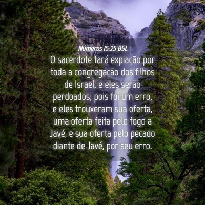 Picture 04 - Números 15:25 BSL - O sacerdote fará expiação por toda a - Bible Verse Picture