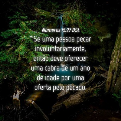 Picture 04 - Números 15:27 BSL - “'Se uma pessoa pecar involuntariamente, então - Bible Verse Picture