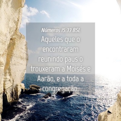 Picture 04 - Números 15:33 BSL - Aqueles que o encontraram reunindo paus o - Bible Verse Picture