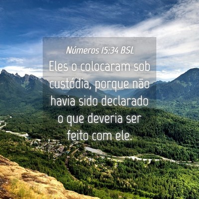 Picture 04 - Números 15:34 BSL - Eles o colocaram sob custódia, porque não havia - Bible Verse Picture