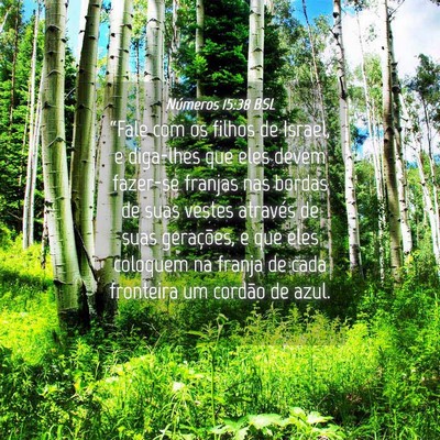Picture 04 - Números 15:38 BSL - “Fale com os filhos de Israel, e diga-lhes que - Bible Verse Picture