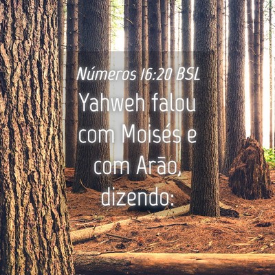 Picture 04 - Números 16:20 BSL - Yahweh falou com Moisés e com Arão, - Bible Verse Picture
