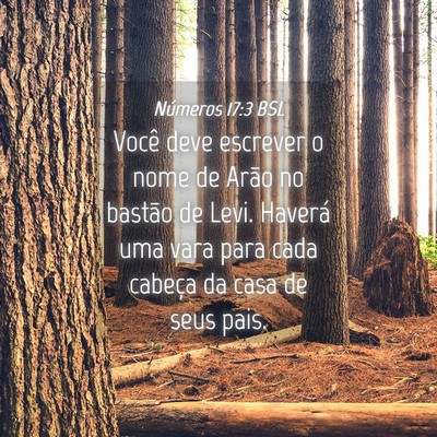 Picture 04 - Números 17:3 BSL - Você deve escrever o nome de Arão no bastão de - Bible Verse Picture