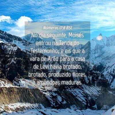 Picture 04 - Números 17:8 BSL - No dia seguinte, Moisés entrou na Tenda do - Bible Verse Picture