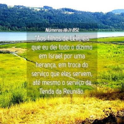 Picture 04 - Números 18:21 BSL - “Aos filhos de Levi, eis que eu dei todo o - Bible Verse Picture