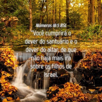 Picture 04 - Números 18:5 BSL - “Você cumprirá o dever do santuário e o - Bible Verse Picture