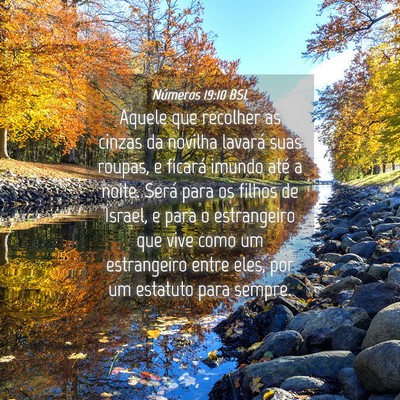 Picture 04 - Números 19:10 BSL - Aquele que recolher as cinzas da novilha lavará - Bible Verse Picture