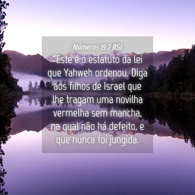 Picture 04 - Números 19:2 BSL - “Este é o estatuto da lei que Yahweh ordenou. - Bible Verse Picture