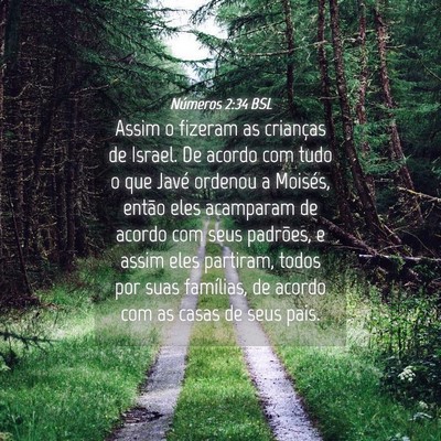 Picture 04 - Números 2:34 BSL - Assim o fizeram as crianças de Israel. De acordo - Bible Verse Picture