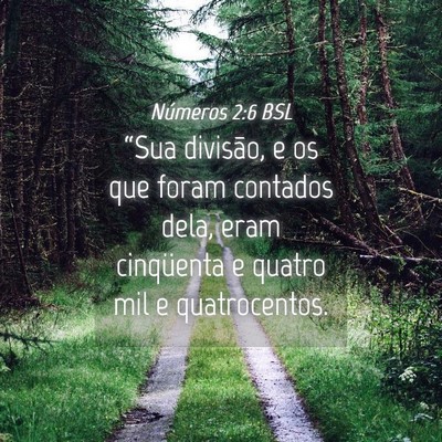 Picture 04 - Números 2:6 BSL - “Sua divisão, e os que foram contados dela, - Bible Verse Picture