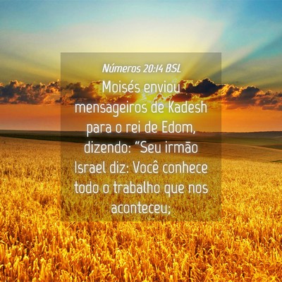 Picture 04 - Números 20:14 BSL - Moisés enviou mensageiros de Kadesh para o rei - Bible Verse Picture