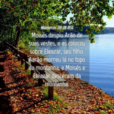 Picture 04 - Números 20:28 BSL - Moisés despiu Arão de suas vestes, e as colocou - Bible Verse Picture
