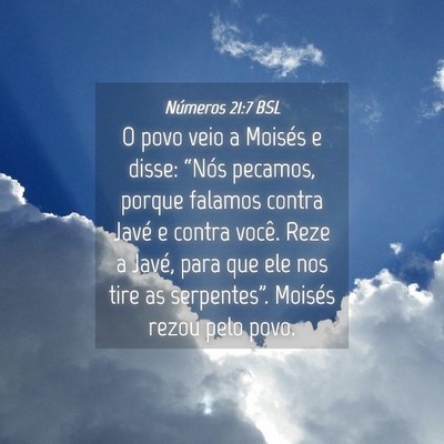 Picture 04 - Números 21:7 BSL - O povo veio a Moisés e disse: “Nós pecamos, - Bible Verse Picture