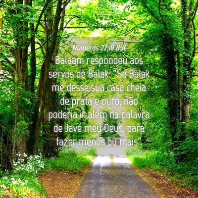 Picture 04 - Números 22:18 BSL - Balaam respondeu aos servos de Balak: “Se Balak - Bible Verse Picture