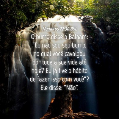 Picture 04 - Números 22:30 BSL - O burro disse a Balaam: “Eu não sou seu burro, - Bible Verse Picture