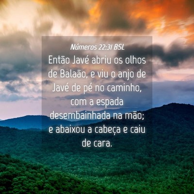 Picture 04 - Números 22:31 BSL - Então Javé abriu os olhos de Balaão, e viu o - Bible Verse Picture