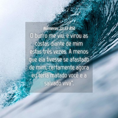 Picture 04 - Números 22:33 BSL - O burro me viu, e virou as costas diante de mim - Bible Verse Picture