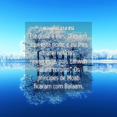 Picture 04 - Números 22:8 BSL - Ele disse a eles: “Fiquem aqui esta noite, e eu - Bible Verse Picture