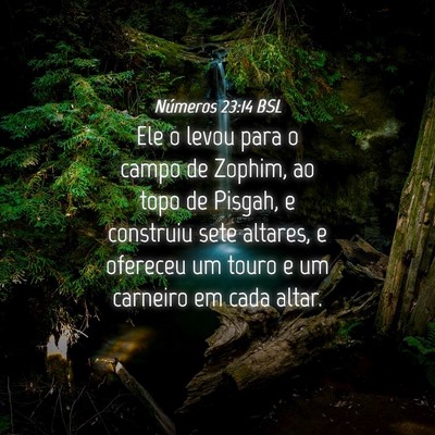 Picture 04 - Números 23:14 BSL - Ele o levou para o campo de Zophim, ao topo de - Bible Verse Picture