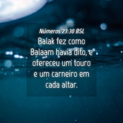 Picture 04 - Números 23:30 BSL - Balak fez como Balaam havia dito, e ofereceu um - Bible Verse Picture