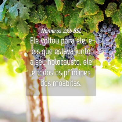 Picture 04 - Números 23:6 BSL - Ele voltou para ele, e eis que estava junto a seu - Bible Verse Picture