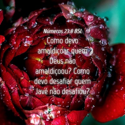Picture 04 - Números 23:8 BSL - Como devo amaldiçoar quem Deus não amaldiçoou? - Bible Verse Picture